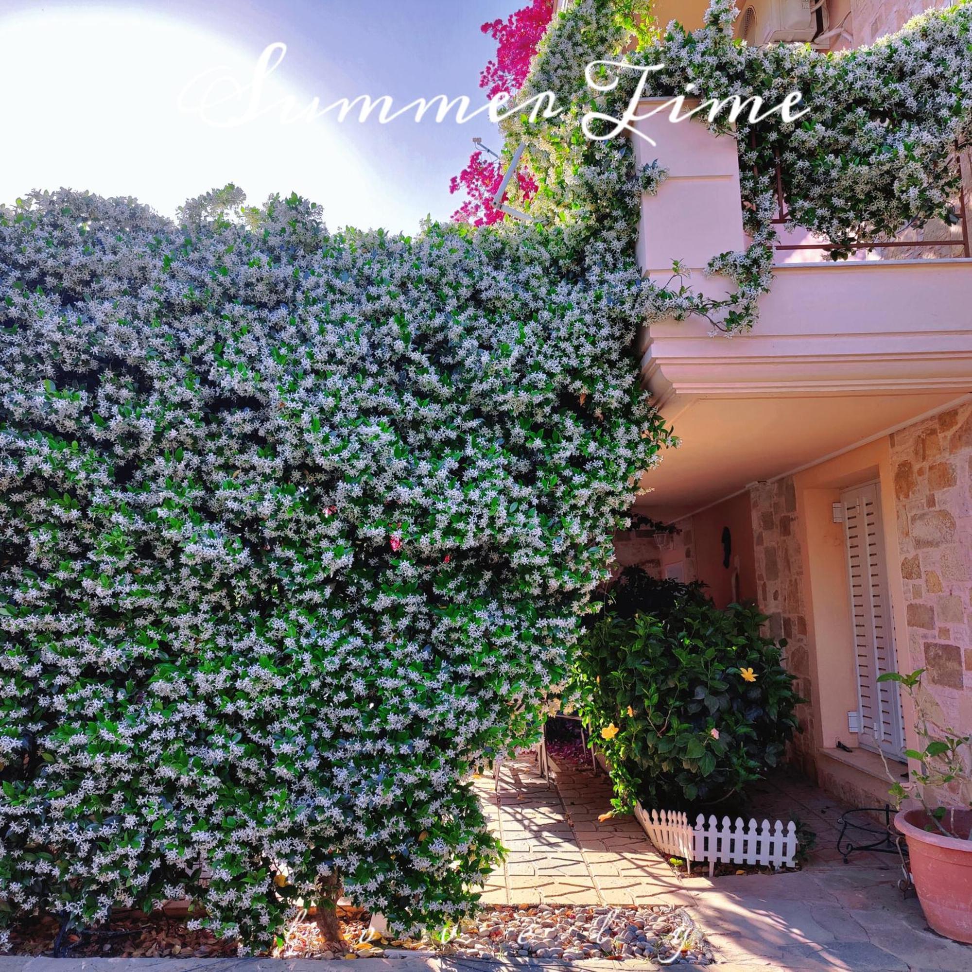 Artemis Garden Near Airport Ξενοδοχείο Εξωτερικό φωτογραφία